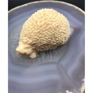 Adorable Hedgehog Carving